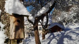 domek dla ptaków i drzewo ze śniegiem w obiekcie Ferienhaus Hirschnest w mieście Sankt Pankraz