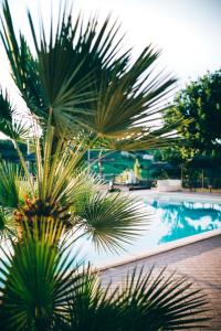 a swimming pool with palm trees in front of it at Agriturismo AgrileisureTime in Spoleto