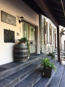 a building with two potted plants on the steps at Haus am Hang in Bernkastel-Kues