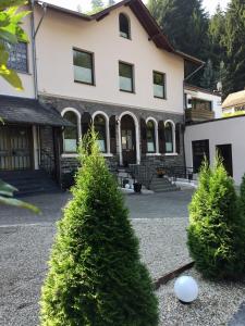 ein Haus mit zwei Weihnachtsbäumen davor in der Unterkunft Haus am Hang in Bernkastel-Kues