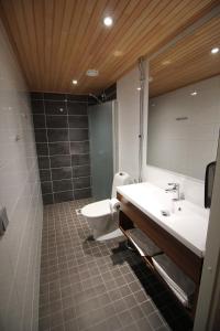 een badkamer met een wastafel, een toilet en een douche bij Motel SEO Muonio in Muonio