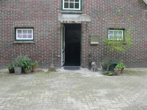 un chat assis devant un bâtiment en briques dans l'établissement Ferienhaus Zum grünen Holz, à Zetel