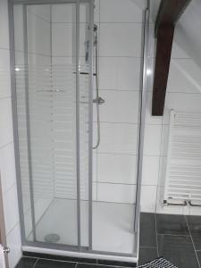 a shower with a glass door in a bathroom at Ferienhaus Zum grünen Holz in Zetel