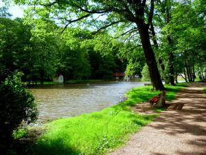 Wutha-Farnrodaにある"Haus Saskia"の川の横にあるベンチ付き公園
