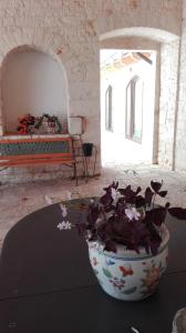 una maceta de flores sentada en una mesa en una habitación en B&B Masseria Spilafemine, en Turi