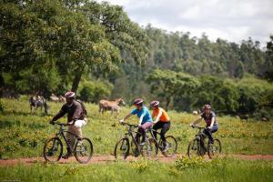 a group of people riding bikes on a dirt road at Mlilwane Game Sanctuary in Lobamba