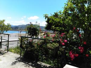 San Martin del MarにあるCasa Tiradorのピンクの花と柵のある庭園