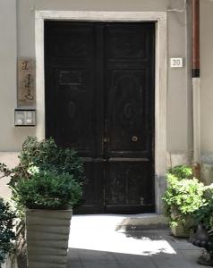 eine schwarze Tür mit zwei Topfpflanzen davor in der Unterkunft B&B Casa Fenoglio in Ventimiglia