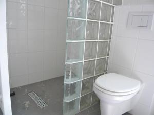 エグモント・アーン・ゼーにあるZomerhuisje bij Zeeのバスルーム(トイレ付)、ガラスの棚の壁