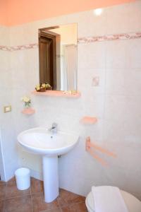 La salle de bains est pourvue d'un lavabo, de toilettes et d'un miroir. dans l'établissement Hotel Funtana Noa, à Villanovaforru