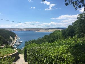 Příroda nedaleko apartmánu