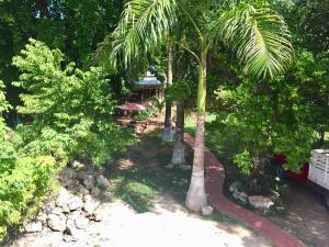 Zahrada ubytování Yaxche Centro Hostal y Camping