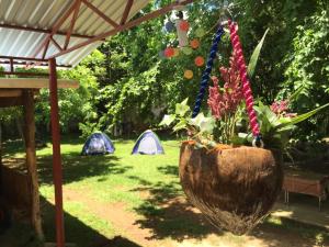 Zahrada ubytování Yaxche Centro Hostal y Camping