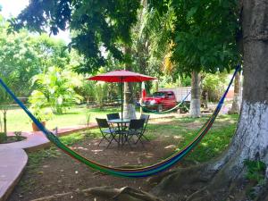 Zahrada ubytování Yaxche Centro Hostal y Camping