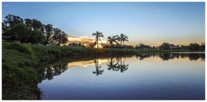 un río con palmeras y la puesta de sol en el fondo en La Tregua en Maciel