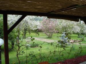 Zahrada ubytování Guest House Čater
