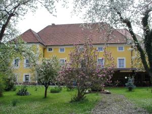 Zahrada ubytování Guest House Čater