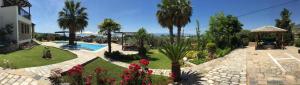 a garden with palm trees and a swimming pool at Iakovakis Suites & Spa in Koropi