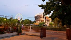 a view of a amusement park with a ferris wheel at Vila Parc in Cluj-Napoca