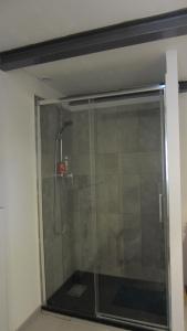 La salle de bains est pourvue d'une douche avec une porte en verre. dans l'établissement Studio A Grans, à Grans