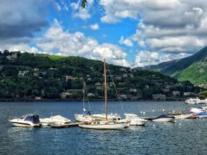 Φυσικό τοπίο κοντά σε αυτό το διαμέρισμα