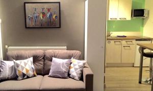 a living room with a couch with pillows on it at Safari chic in Lille +10 photos