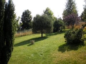 Zahrada ubytování Apartman Kublovi