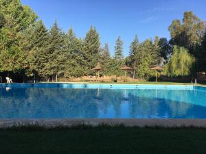 Una gran piscina azul con árboles al fondo. en Camping La Fundicion, en Cazalla de la Sierra