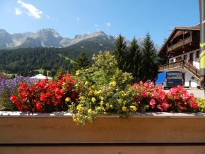 un ramo de flores en una cornisa con montañas en Residence La Pineta, en Padola