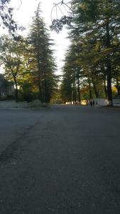 Billede fra billedgalleriet på Apartment on Kolkheti Street 1 i Tsqaltubo + 13 billeder