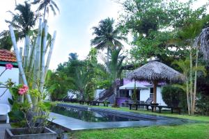 a resort with a swimming pool and palm trees at Turtle Eco Beach in Matara