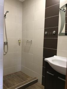 a bathroom with a shower and a sink at Origo Vendégház in Sárospatak +14 photos