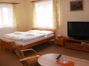 a bedroom with a bed and a tv and a table at Apartman Kublovi in Vimperk