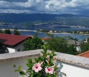 Příroda nedaleko apartmánu
