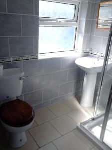 a bathroom with a toilet and a sink and a window at Noirin's Holiday Homes in Falcarragh
