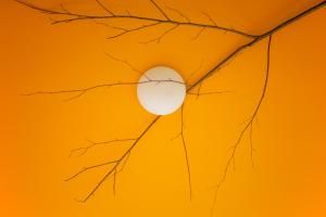 an image of a tree branch against a yellow background at Wild Valley Hostel - Villa Edera in Auressio