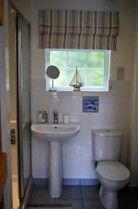 a bathroom with a sink and a toilet and a window at Bumble Bee Cottage in Hartland +16 photos
