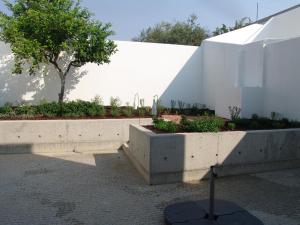 Κήπος έξω από το Casa dos Aromas