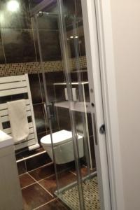 サン・テティエンヌ・ド・ティネにあるBlaise 2 piècesのバスルーム(トイレ、ガラス張りのシャワー付)