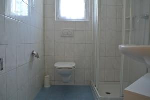 ein Bad mit einem WC, einem Waschbecken und einem Fenster in der Unterkunft Haus Artemis in Saas-Grund