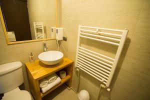a bathroom with a sink and a toilet and a mirror at Hotel Terrazas del Lago in Puerto Varas