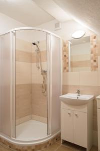 a bathroom with a shower and a sink at Apartment-Chalet-Chaloupka U Trnků in Lázně Kynžvart