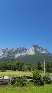 einen Berg in der Ferne mit einem Feld und Bäumen in der Unterkunft Haus Mühlgraben in Ramsau bei Berchtesgaden