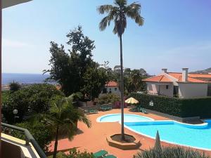 a resort with a swimming pool and a palm tree at Apartment Bay Historic Center in Funchal