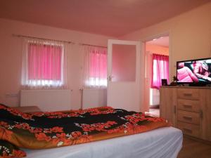 Un dormitorio con una cama con una cómoda y un televisor. en Tiszavirág Apartmanház, en Szeged