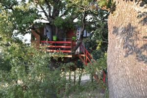 Zahrada ubytování Casa sull'Albero