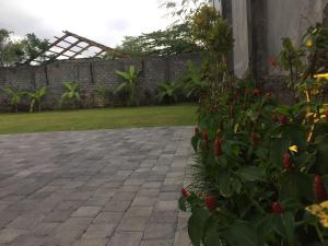 Zahrada ubytování Dikubu Belong Seminyak