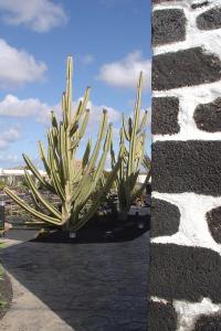 Fotografie z fotogalerie ubytování Casa Rural Finca Isabel v destinaci Mozaga