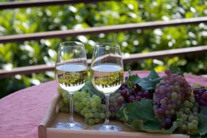 two glasses of wine sitting on a tray of grapes at Kéktúrás-Tóra Nyíló Badacsonyi privát bérlemény in Badacsonytomaj
