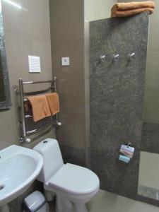 a bathroom with a toilet and a sink and a shower at Guest house Khan in Kharkiv